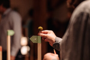 Erlebnisfestival-2022©MatthiasAmmer-230